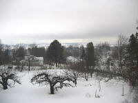 Winter view